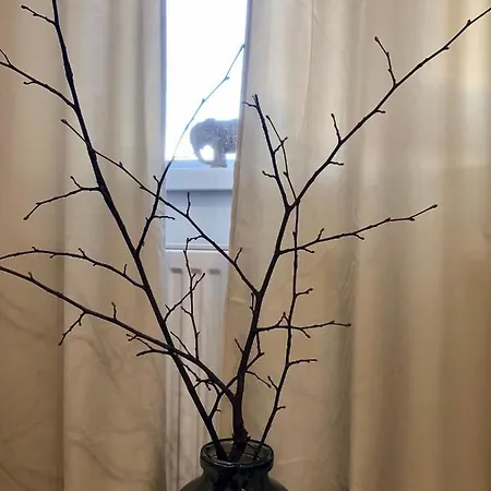 Appartement Park In The Heart Of The City