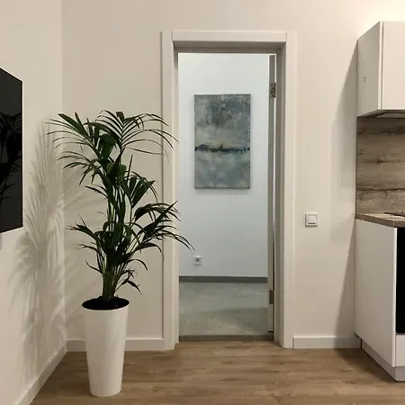 Park In The Heart Of The City Appartement