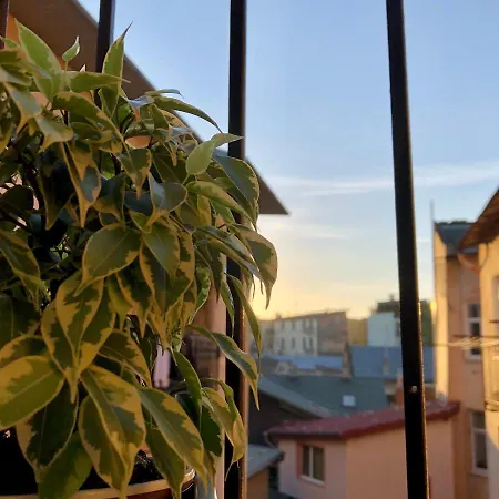 Park In The Heart Of The City