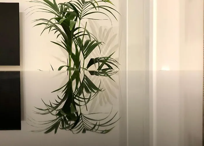 Park In The Heart Of The City *