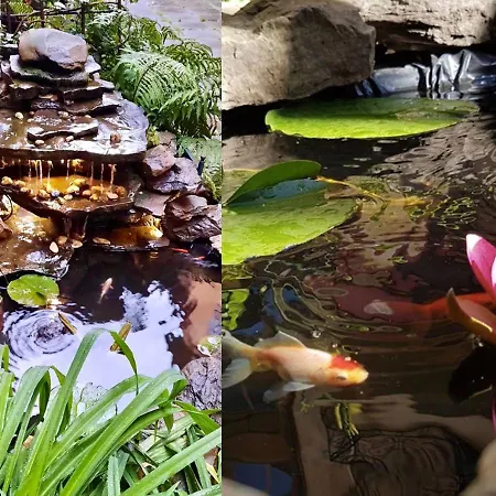 Park In The Heart Of The City 아파트 리비프