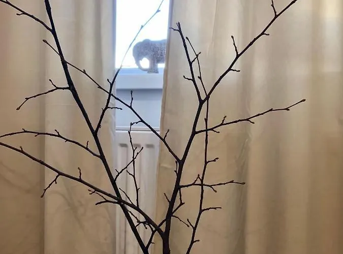 아파트 Park In The Heart Of The City