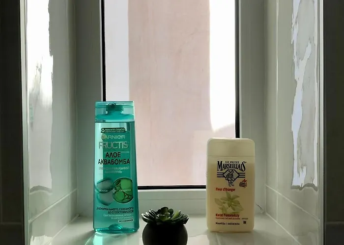 Park In The Heart Of The City 아파트 리비프